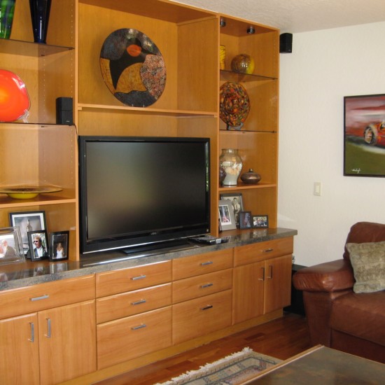 Contemporary family room display cabinet